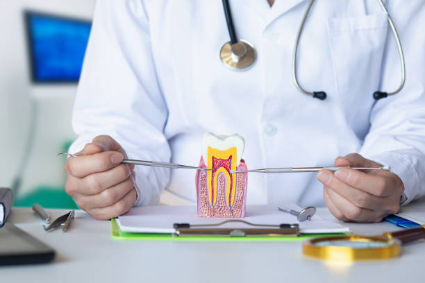 Best Emergency Treatment for Jaw Pain or Injury in Newport, NC